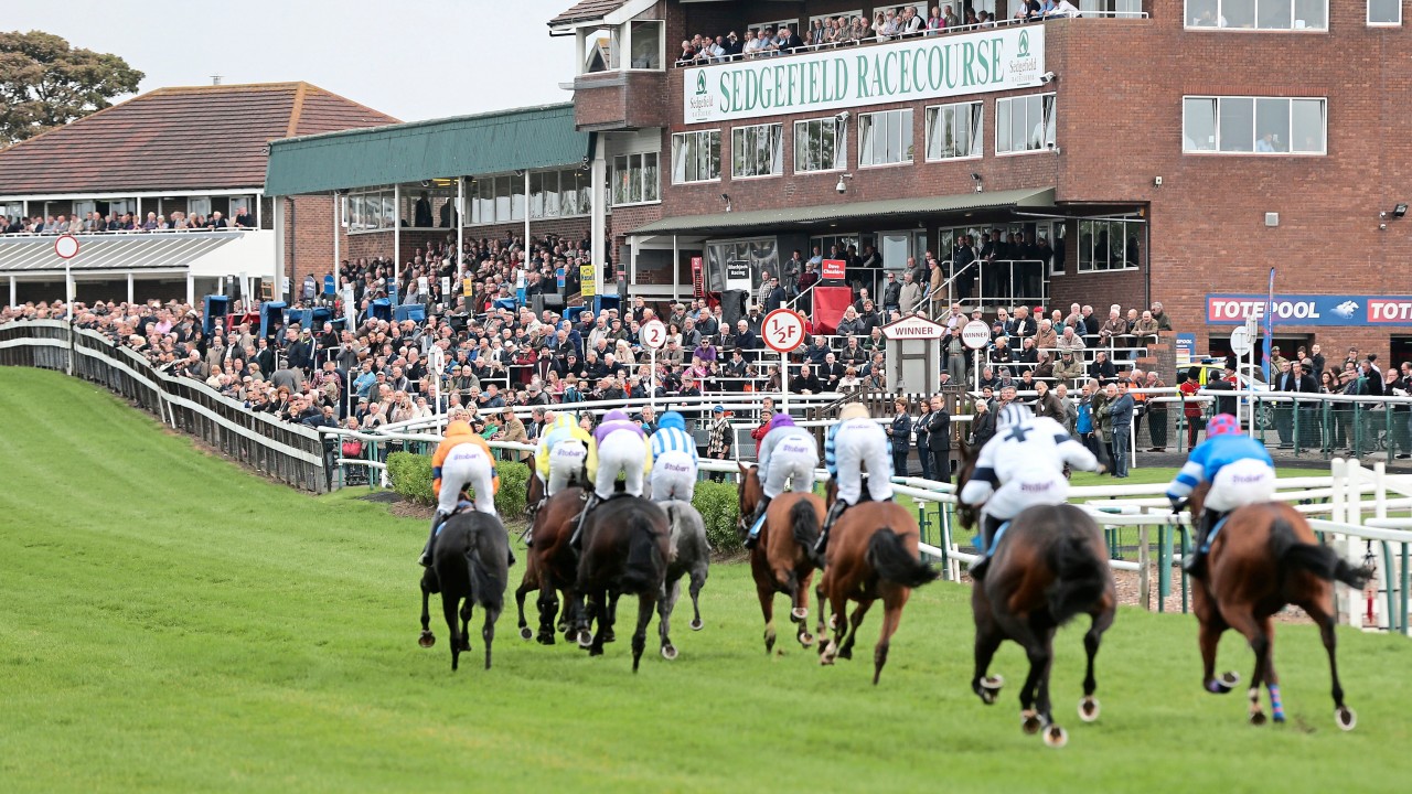 Sedgefield Racecourse | Durham Outdoor Cinema